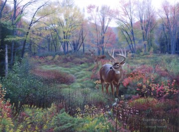 鹿 Painting - 秋の風景 WhitetailL
